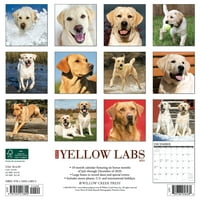 Willow Creek Press Just Yellow Labs fali naptár