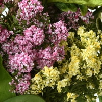 Nemzeti Fa Társaság 22 Hortenzia Virág Koszorú