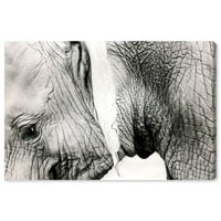 A Wynwood Studio 'Gentle Giant' állatok fali művészete nyomtatvány - fekete, fehér, 36 24