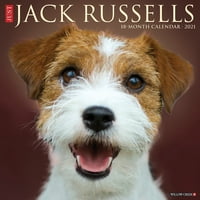 Willow Creek Press Just Jack Russells fali naptár