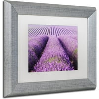 Védjegy képzőművészet 'Purple Hills' vászon művészet Michael Blanchette Photography, fehér matt, ezüst keret