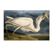 Védjegy Képzőművészet Nagy fehér gém vászon művészet, John James Audubon