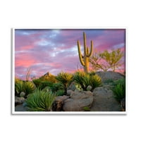 Stupell Industries Rózsaszín Napkelte Száraz Kaktusz Növények Tájkép Fényképezés Fehér Keretes Művészet Nyomtatás Wall