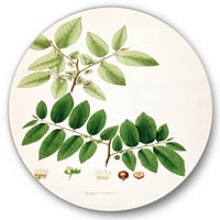 Designart 'Ancient Botanicals XIV' parasztház Circle Metal Wall Art - 23 -as lemez