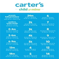 Carter gyermeke, kisfiam, Romper Bodysuit, 2-Pack, Méret 0 hónap