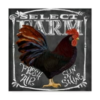 Védjegy képzőművészet 'Select Farm Rooster' vászon művészet az Art Licensing Studio által
