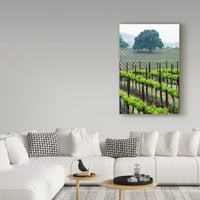 A Lance Kuehne „tölgy- és szőlő” vászon művészete